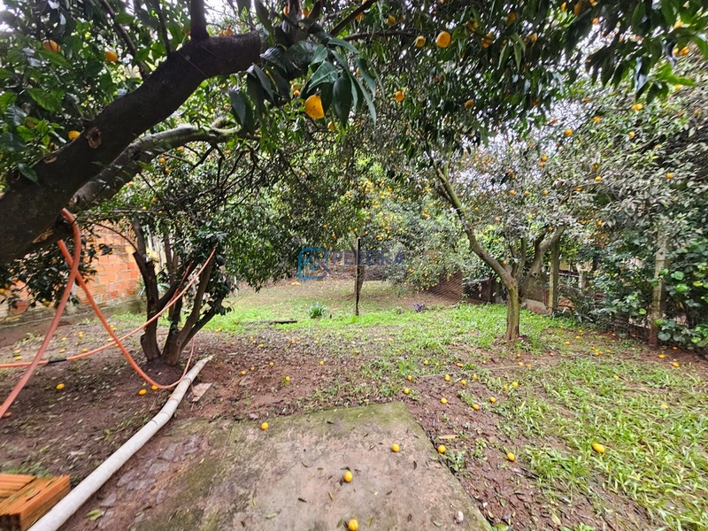 Casa 03 dormitórios no bairro Divisa.: 10ª foto da galeria de imagens do imóvel