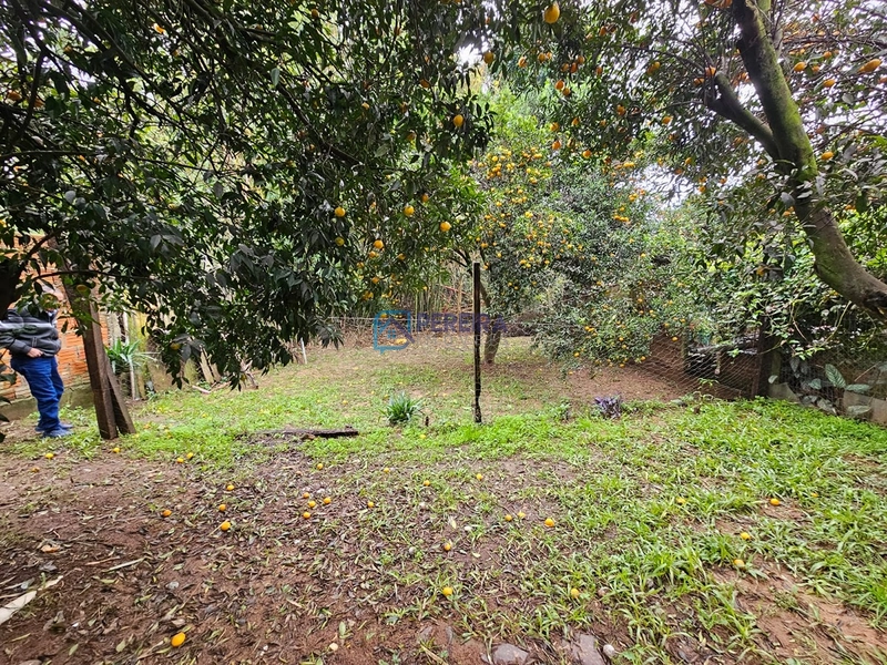 Casa 03 dormitórios no bairro Divisa.: 9ª foto da galeria de imagens do imóvel