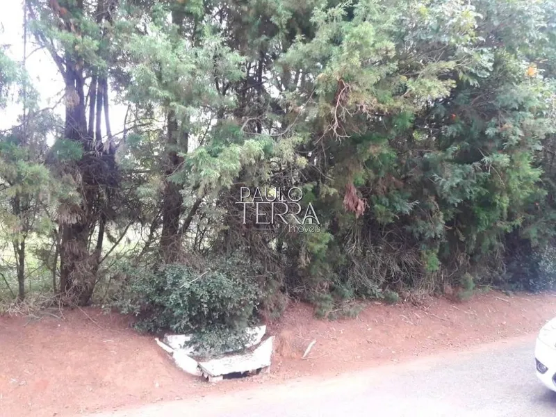Terreno à venda com ótima topografia no Condomínio Chácaras Cataguá: 6ª foto da galeria de imagens do imóvel