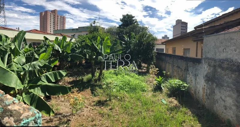 Terreno 250 m2 plano e murado no bairro Vila das Graças em Taubaté SP: 2ª foto da galeria de imagens do imóvel