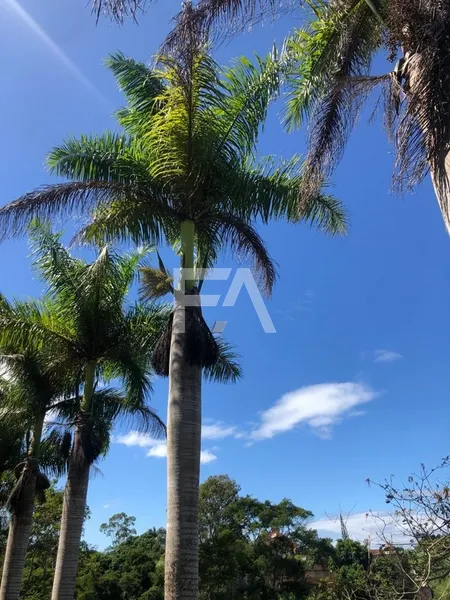 Sítio, Mar do Norte, Rio das Ostras/RJ: 3ª foto da galeria de imagens do imóvel