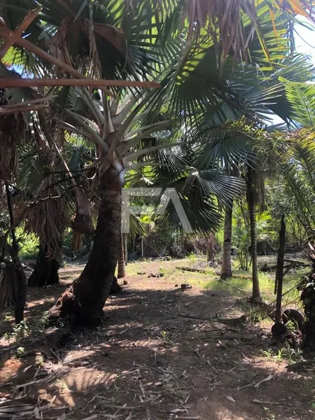 Sítio, Mar do Norte, Rio das Ostras/RJ: 38ª foto da galeria de imagens do imóvel