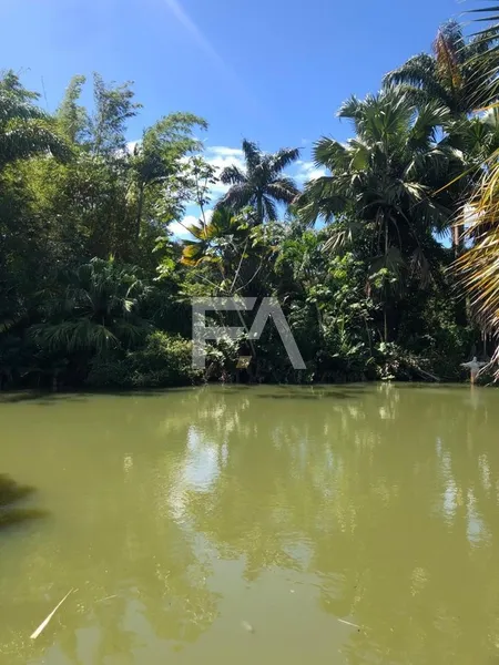 Sítio, Mar do Norte, Rio das Ostras/RJ: 34ª foto da galeria de imagens do imóvel