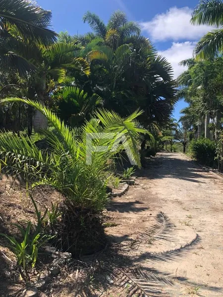 Sítio, Mar do Norte, Rio das Ostras/RJ: 33ª foto da galeria de imagens do imóvel