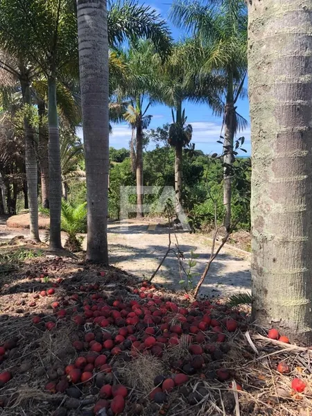 Sítio, Mar do Norte, Rio das Ostras/RJ: 31ª foto da galeria de imagens do imóvel
