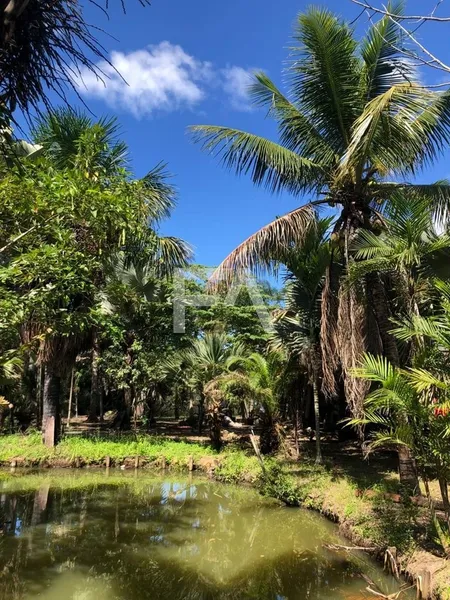 Sítio, Mar do Norte, Rio das Ostras/RJ: 10ª foto da galeria de imagens do imóvel
