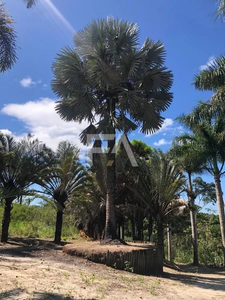 Sítio, Mar do Norte, Rio das Ostras/RJ: 20ª foto da galeria de imagens do imóvel
