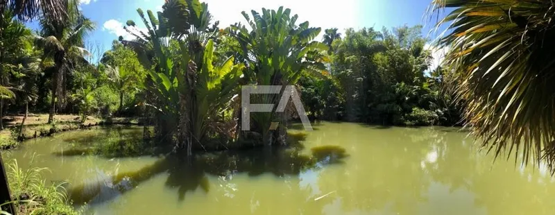 Sítio, Mar do Norte, Rio das Ostras/RJ: 48ª foto da galeria de imagens do imóvel