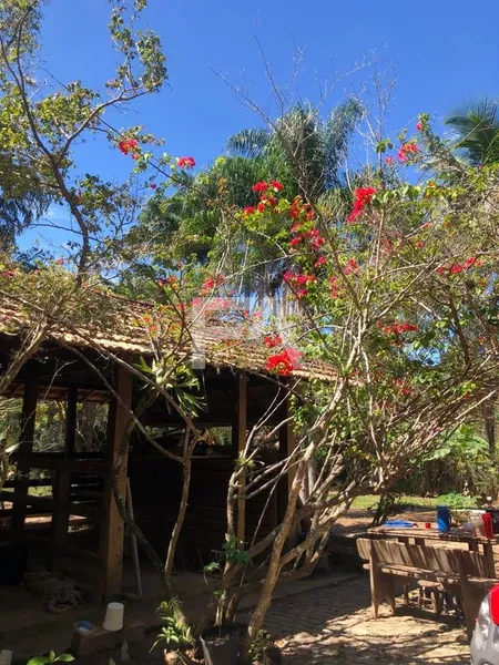 Sítio, Mar do Norte, Rio das Ostras/RJ: 19ª foto da galeria de imagens do imóvel