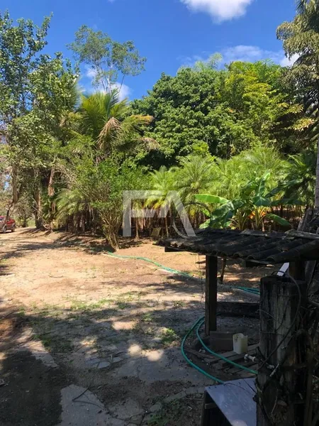 Sítio, Mar do Norte, Rio das Ostras/RJ: 40ª foto da galeria de imagens do imóvel