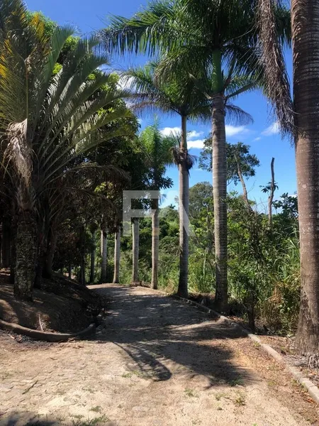 Sítio, Mar do Norte, Rio das Ostras/RJ: 4ª foto da galeria de imagens do imóvel