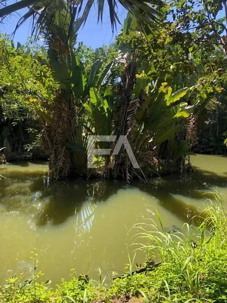 Sítio, Mar do Norte, Rio das Ostras/RJ: 27ª foto da galeria de imagens do imóvel