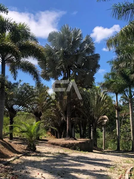 Sítio, Mar do Norte, Rio das Ostras/RJ: 32ª foto da galeria de imagens do imóvel