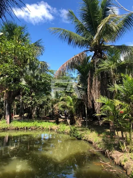 Sítio, Mar do Norte, Rio das Ostras/RJ: 14ª foto da galeria de imagens do imóvel