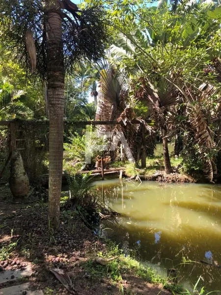 Sítio, Mar do Norte, Rio das Ostras/RJ: 44ª foto da galeria de imagens do imóvel