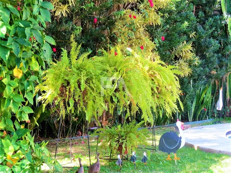 Casa a venda no Bairro Mirante da Lagoa em Macaé: 7ª foto da galeria de imagens do imóvel