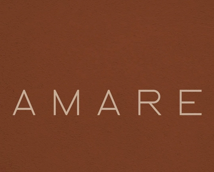 CONDOMINIO AMARE
