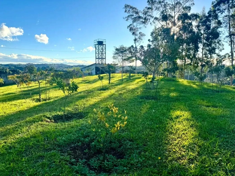 null: 11ª foto da galeria de imagens do imóvel
