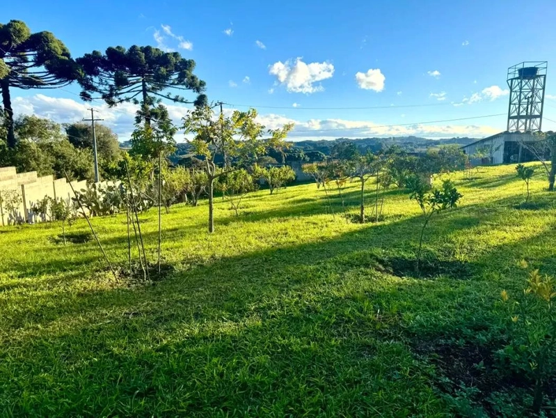 null: 12ª foto da galeria de imagens do imóvel