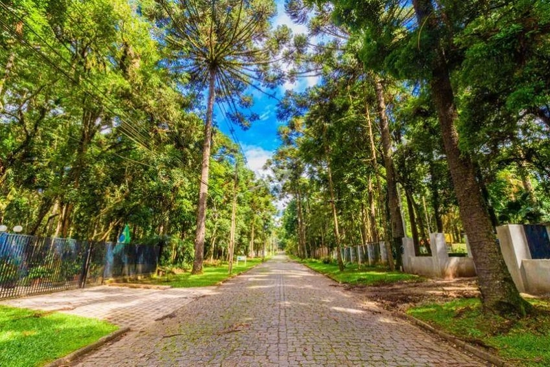 null: 4ª foto da galeria de imagens do imóvel