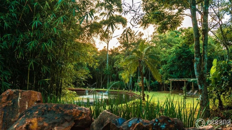 sitio com benfeitorias a 30 minutos de Capao da Canoa: 15ª foto da galeria de imagens do imóvel