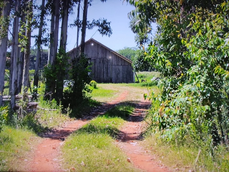 SÍTIO À VENDA EM ARROIO TEIXEIRA: 15ª foto da galeria de imagens do imóvel