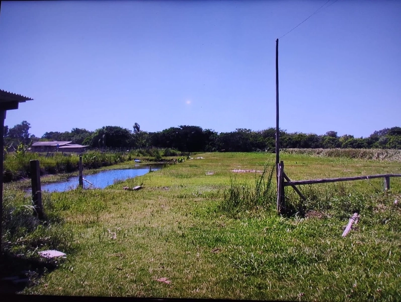 SÍTIO À VENDA EM ARROIO TEIXEIRA: 3ª foto da galeria de imagens do imóvel