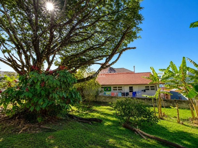 Casa 3 dormitórios sendo 1 suíte semi mobiliada para locação na Trindade: 9ª foto da galeria de imagens do imóvel