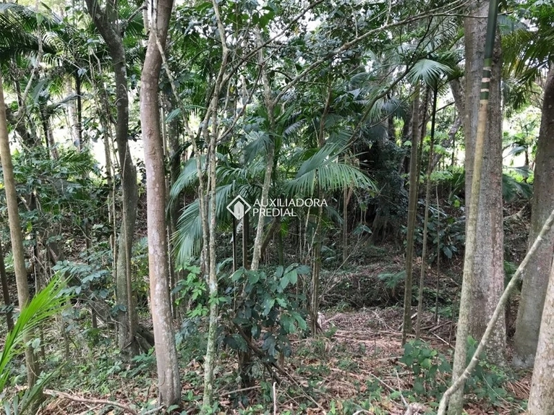 Terreno / Área à venda em Vargem Grande | 50.083 m² | Florianópolis: 9ª foto da galeria de imagens do imóvel