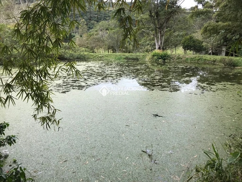 Terreno / Área à venda em Vargem Grande | 50.083 m² | Florianópolis: 13ª foto da galeria de imagens do imóvel