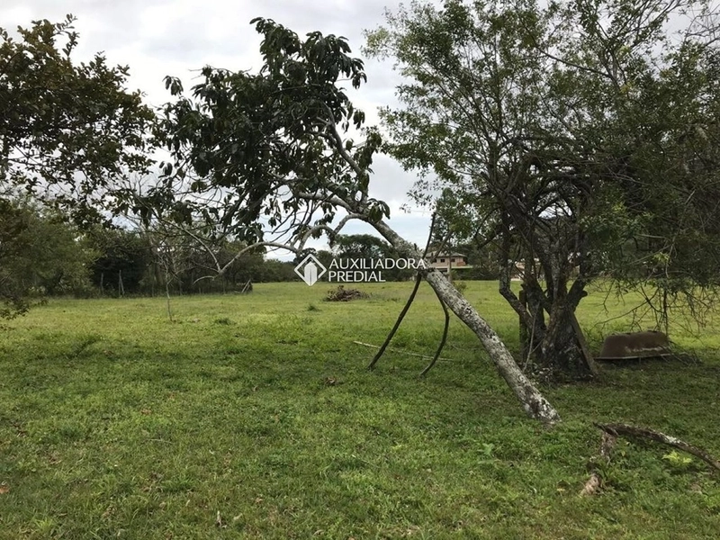 Terreno / Área à venda em Vargem Grande | 50.083 m² | Florianópolis: 5ª foto da galeria de imagens do imóvel