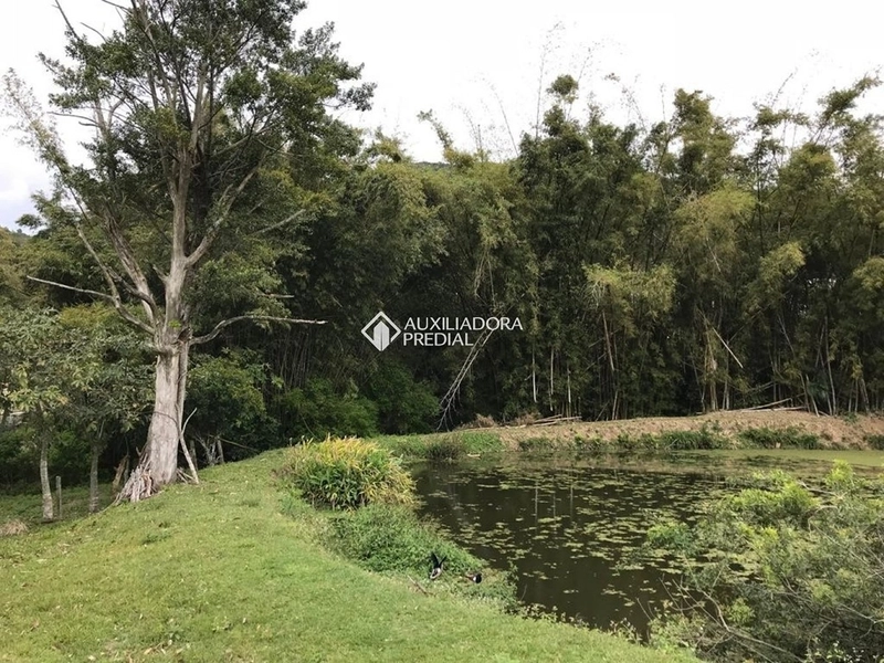 Terreno / Área à venda em Vargem Grande | 50.083 m² | Florianópolis: 6ª foto da galeria de imagens do imóvel