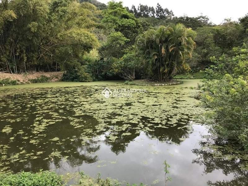 Terreno / Área à venda em Vargem Grande | 50.083 m² | Florianópolis: 11ª foto da galeria de imagens do imóvel