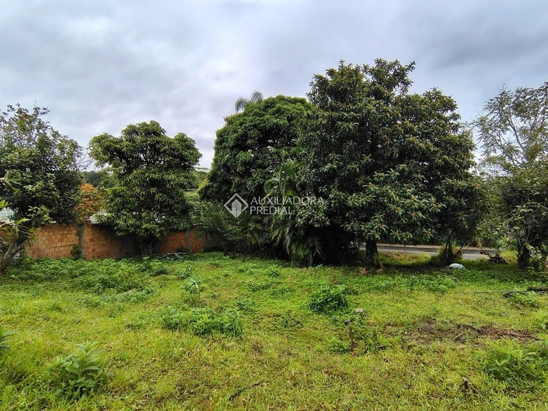 Terreno à venda na Vargem Pequena | 870 m² | Florianópolis: 6ª foto da galeria de imagens do imóvel