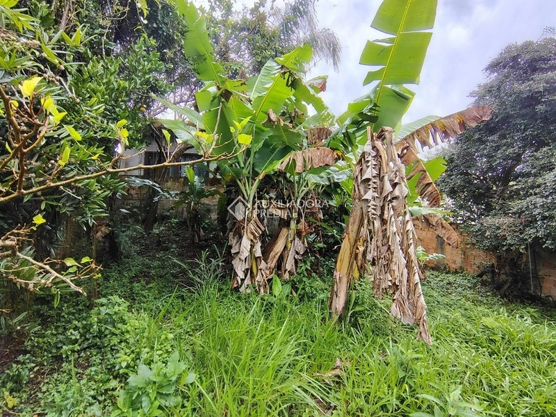 Terreno à venda na Vargem Pequena | 870 m² | Florianópolis: 4ª foto da galeria de imagens do imóvel