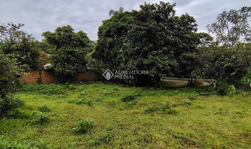 Terreno à venda na Vargem Pequena | 870 m² | Florianópolis: 7ª foto da galeria de imagens do imóvel