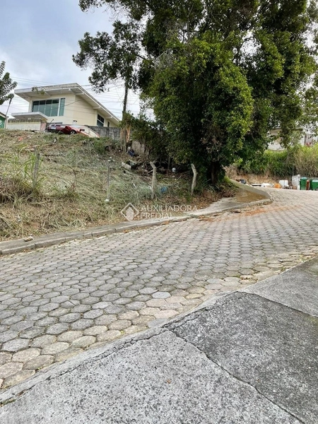 Terreno à venda na Trindade | 649,71 m² | Viabilidade para uso misto | Florianópolis: 3ª foto da galeria de imagens do imóvel