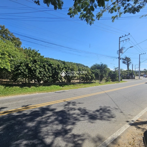 Terreno / Área à venda em Vargem Grande | 66.151 m² | Florianópolis: 4ª foto da galeria de imagens do imóvel