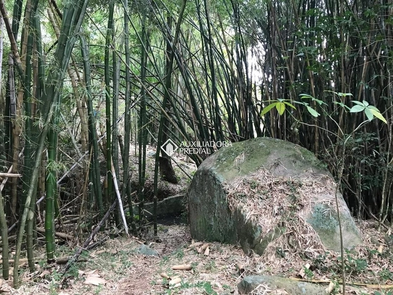 Terreno / Área à venda em Vargem Grande | 66.151 m² | Florianópolis: 11ª foto da galeria de imagens do imóvel