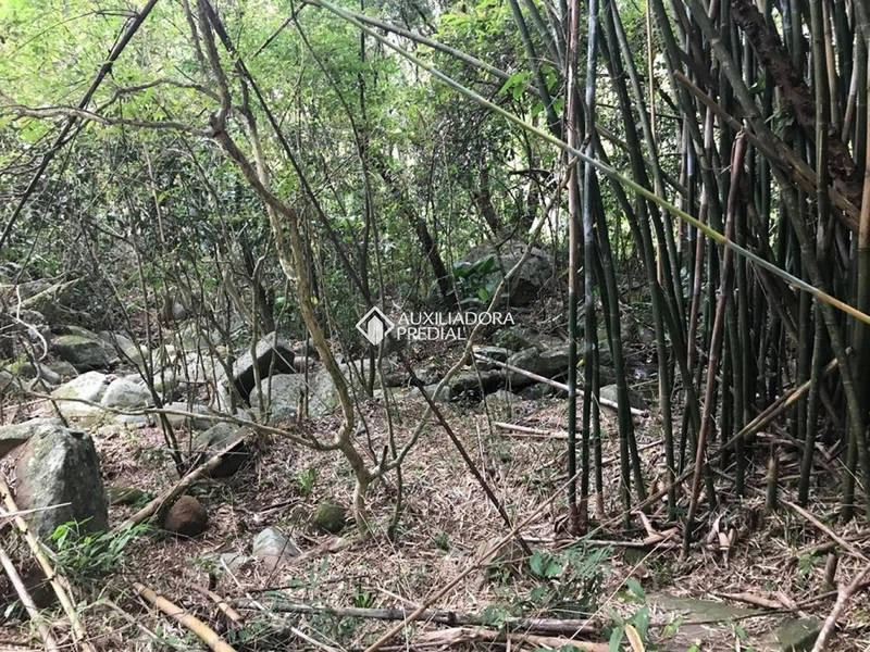 Terreno / Área à venda em Vargem Grande | 66.151 m² | Florianópolis: 14ª foto da galeria de imagens do imóvel