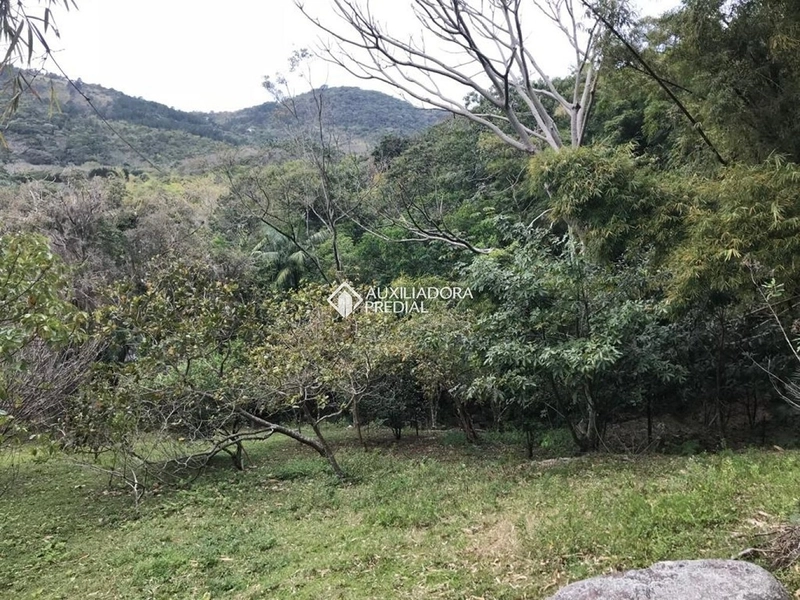 Terreno / Área à venda em Vargem Grande | 66.151 m² | Florianópolis: 15ª foto da galeria de imagens do imóvel