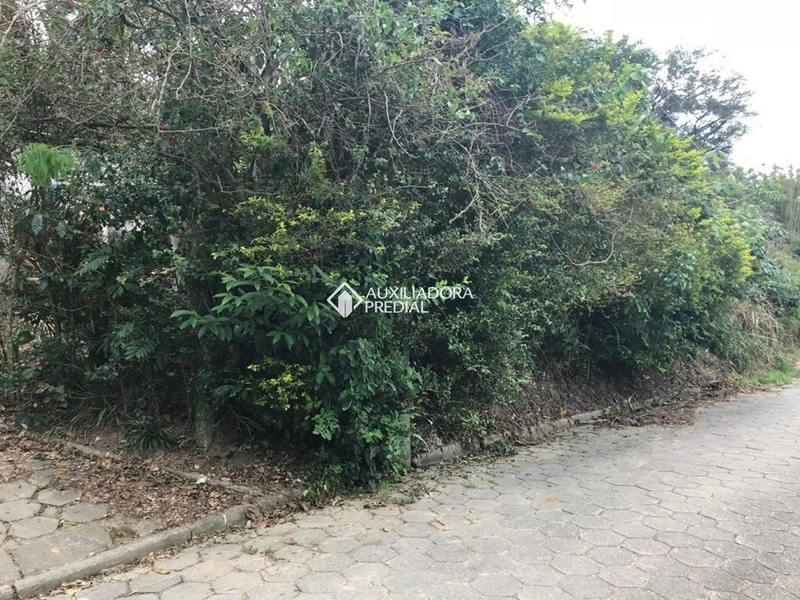 Terreno / Área à venda em Vargem Grande | 66.151 m² | Florianópolis: 7ª foto da galeria de imagens do imóvel