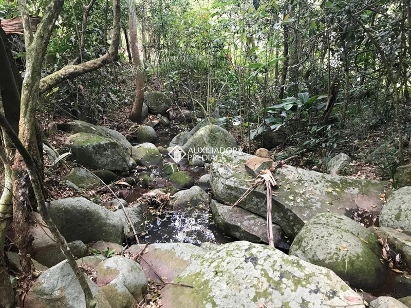 Terreno / Área à venda em Vargem Grande | 66.151 m² | Florianópolis: 17ª foto da galeria de imagens do imóvel