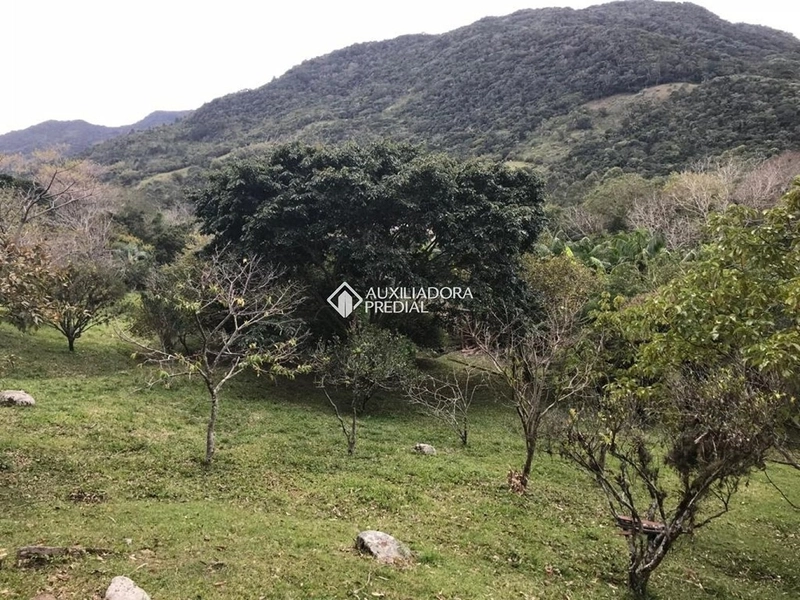 Terreno / Área à venda em Vargem Grande | 66.151 m² | Florianópolis: 9ª foto da galeria de imagens do imóvel