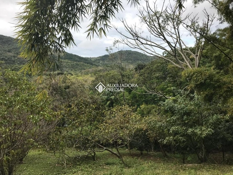 Terreno / Área à venda em Vargem Grande | 66.151 m² | Florianópolis: 13ª foto da galeria de imagens do imóvel