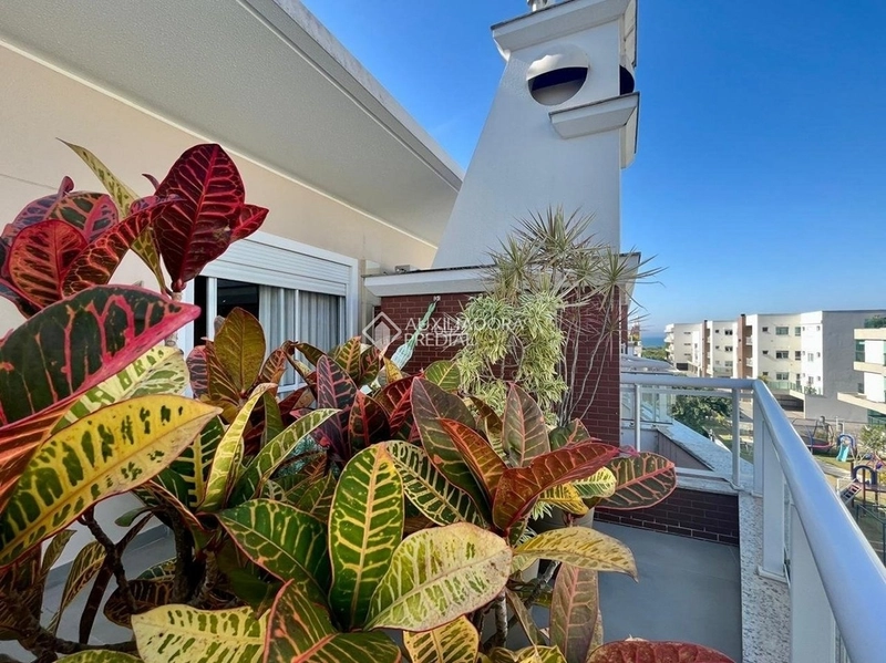 Cobertura mobiliada, 3 dormitórios, piscina privativa e vista para o mar | Campeche | Florianópolis: 2ª foto da galeria de imagens do imóvel