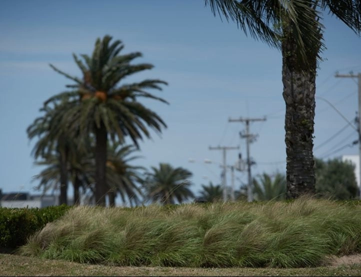 5ª foto do condomínio