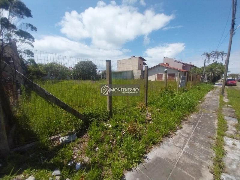 Rua margaridas: 4ª foto da galeria de imagens do imóvel