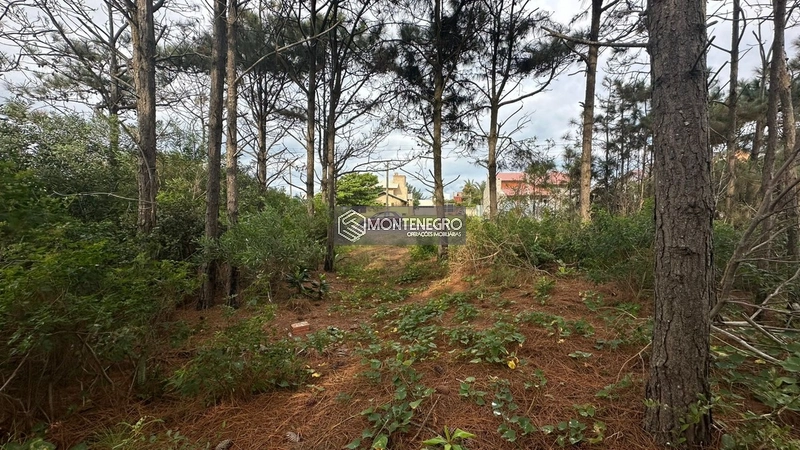 Rua das Rosas: 1ª foto da galeria de imagens do imóvel