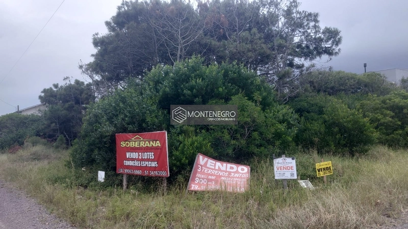 Rua das Rosas: 5ª foto da galeria de imagens do imóvel